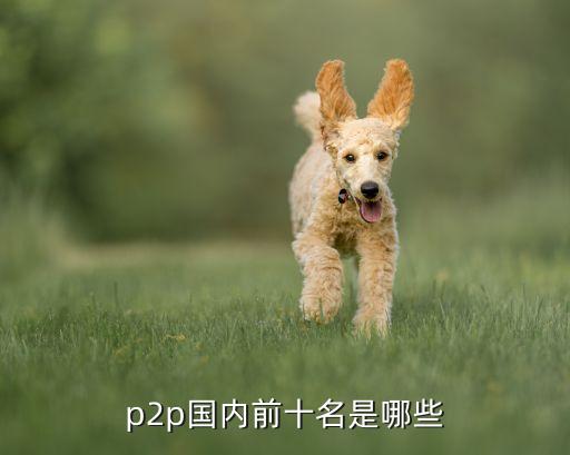 中國互聯網金融百強品牌評選