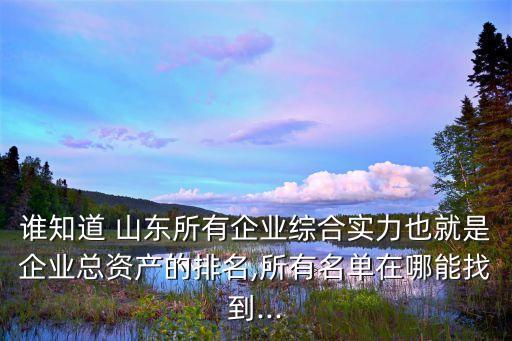 誰知道 山東所有企業綜合實力也就是企業總資產的排名,所有名單在哪能找到...