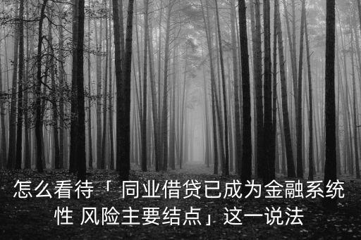 怎么看待「 同業借貸已成為金融系統性 風險主要結點」這一說法