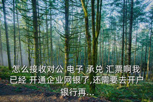 怎么接收對公 電子 承兌 匯票啊我已經 開通企業網銀了,還需要去開戶 銀行再...