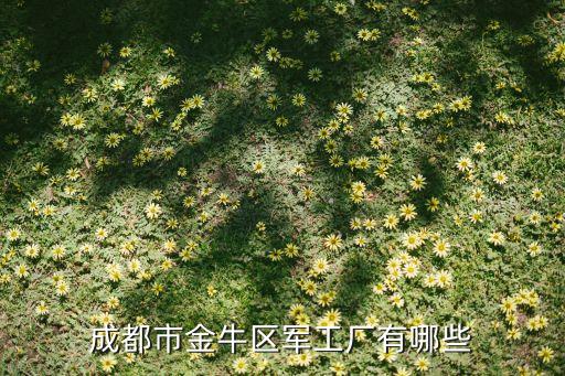 廣業電子機械產業集團有限公司