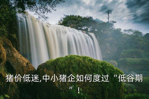 中國畜牧業年鑒2013