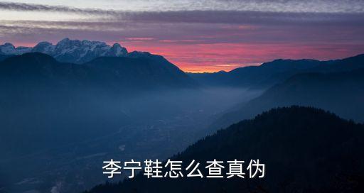  李寧鞋怎么查真偽