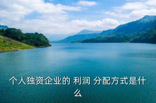 個人獨資企業的 利潤 分配方式是什么
