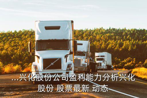 ...興化股份公司盈利能力分析興化股份 股票最新 動態