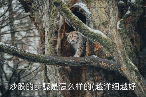 炒股的步驟是怎么樣的(越詳細越好