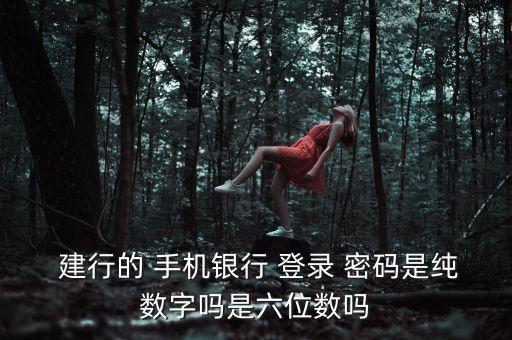 建行手機銀行登錄密碼幾位數