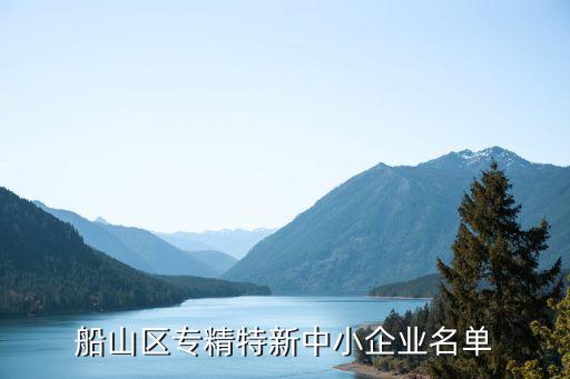 船山區專精特新中小企業名單