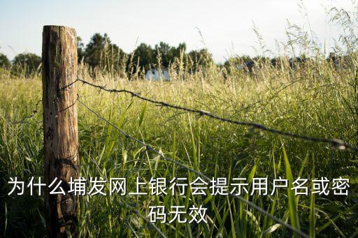為什么埔發網上銀行會提示用戶名或密碼無效