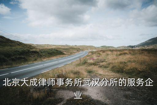 北京大成律師事務所武漢分所的服務企業