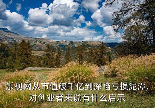 樂視網從市值破千億到深陷虧損泥潭,對創業者來說有什么啟示
