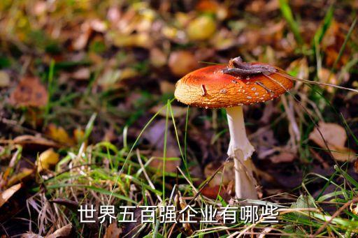 重慶美源實業發展有限公司