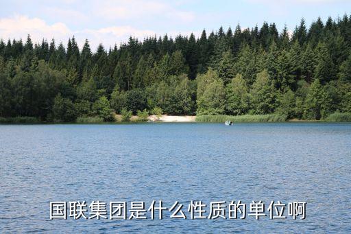  國聯集團是什么性質的單位啊