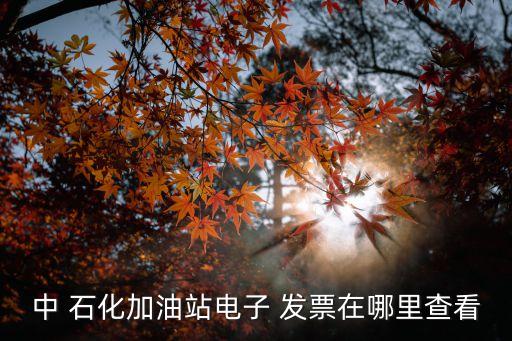 中 石化加油站電子 發票在哪里查看
