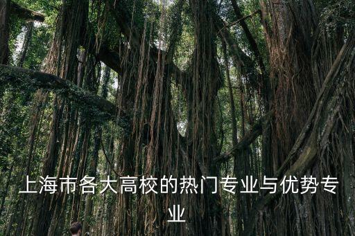  上海市各大高校的熱門專業與優勢專業