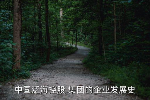 中國泛海控股 集團的企業發展史