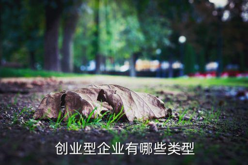  創業型企業有哪些類型