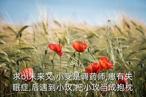 求bl未來文,小受是調藥師,患有失眠癥,后遇到小攻,把小攻當成抱枕