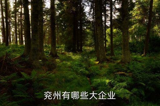 微山湖礦業集團融資