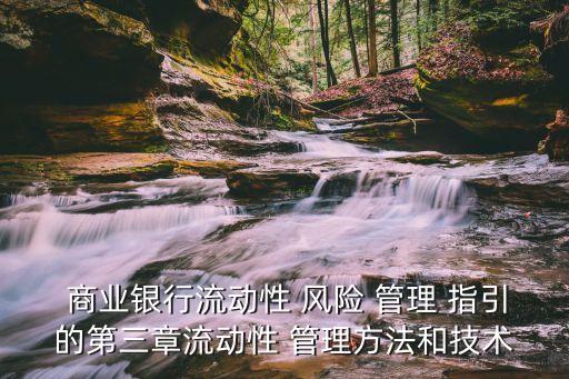  商業銀行流動性 風險 管理 指引的第三章流動性 管理方法和技術