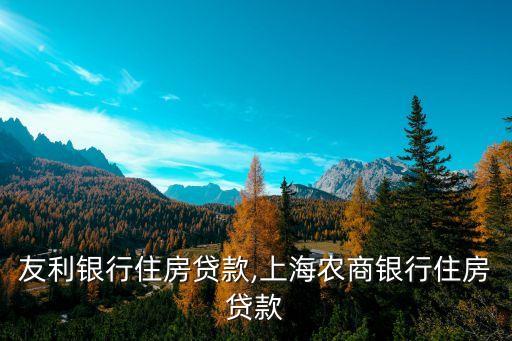 上海友利銀行住房貸款,上海農商銀行住房貸款
