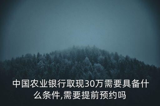  中國農業銀行取現30萬需要具備什么條件,需要提前預約嗎