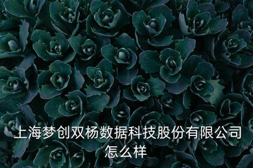  上海夢創雙楊數據科技股份有限公司怎么樣