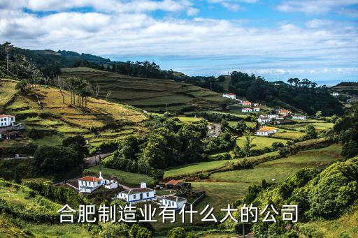 揚州市鑫晟光電發展有限公司