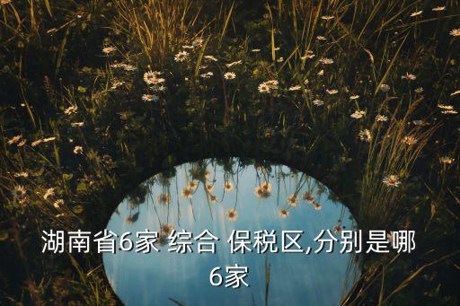 平潭綜合保稅物流有限責任公司,廈門建發保稅物流有限責任公司
