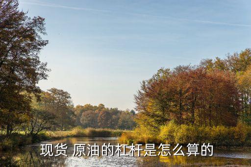 現貨原油投資收益計算