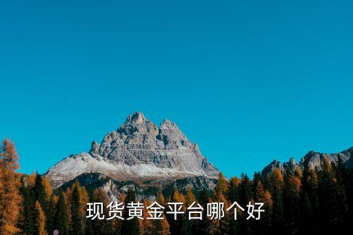 中輝國際礦業集團有限公司,魯西礦業集團有限公司有哪些煤礦