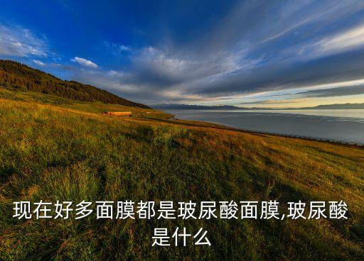 現在好多面膜都是玻尿酸面膜,玻尿酸是什么