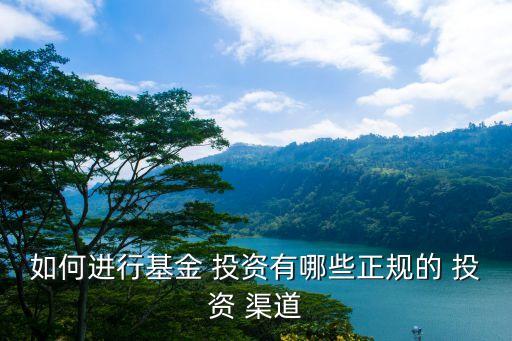 如何進行基金 投資有哪些正規的 投資 渠道