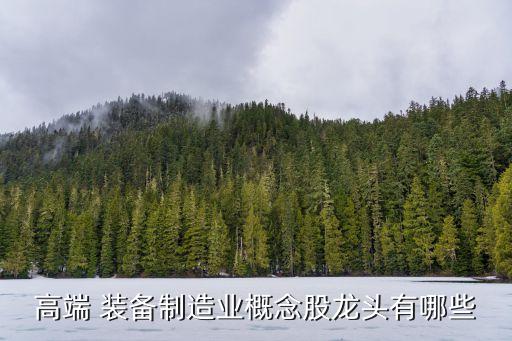 高端 裝備制造業概念股龍頭有哪些