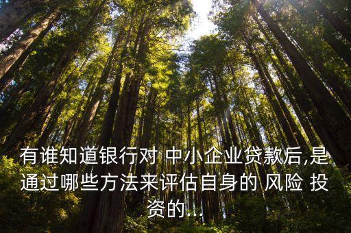 有誰知道銀行對 中小企業貸款后,是通過哪些方法來評估自身的 風險 投資的...