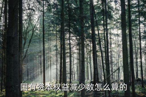  國有資本權益減少數怎么算的