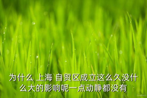 為什么 上海 自貿區成立這么久沒什么大的影響呢一點動靜都沒有
