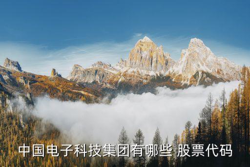 衛士通股票吧