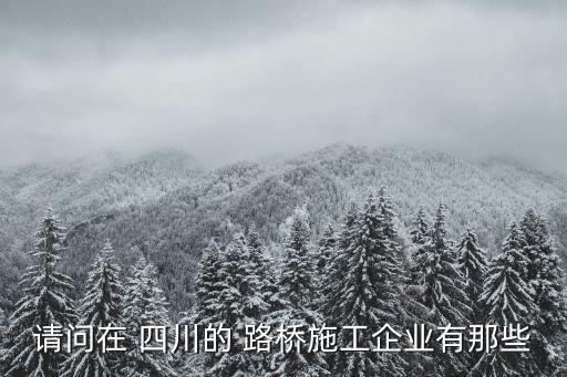 四川新路橋實業有限公司,中國路橋集團西安實業發展有限公司