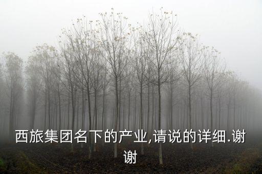 西旅集團名下的產業,請說的詳細.謝謝
