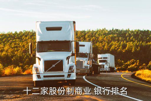 十二家股份制商業 銀行排名