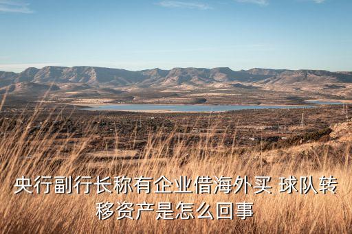 央行副行長稱有企業借海外買 球隊轉移資產是怎么回事