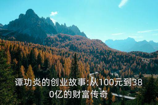 譚功炎的創業故事:從100元到380億的財富傳奇