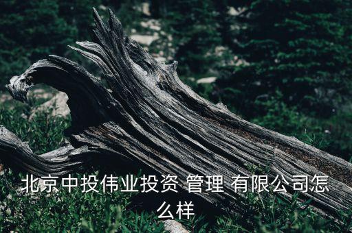 北京中投偉業投資 管理 有限公司怎么樣