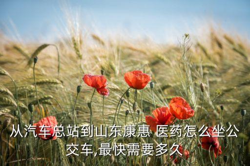 從汽車總站到山東康惠 醫藥怎么坐公交車,最快需要多久