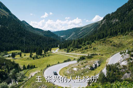 王 張興的人生經歷