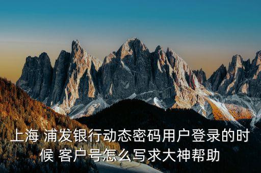 上海 浦發銀行動態密碼用戶登錄的時候 客戶號怎么寫求大神幫助