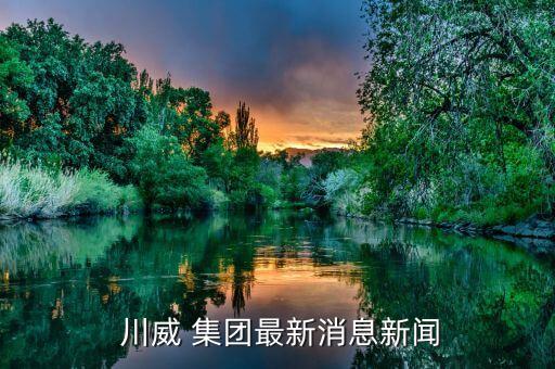 川威集團破產六盤水市政府