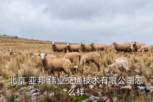 亞邦偉業屬于哪個集團