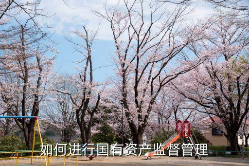 如何進行國有資產監督管理